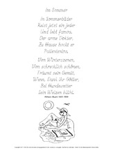 Im-Sommer-Busch-GS.pdf